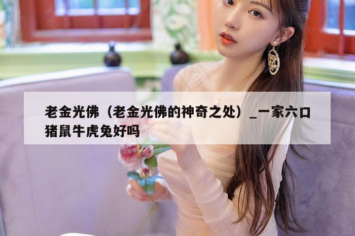 老金光佛（老金光佛的神奇之处）_一家六口猪鼠牛虎兔好吗